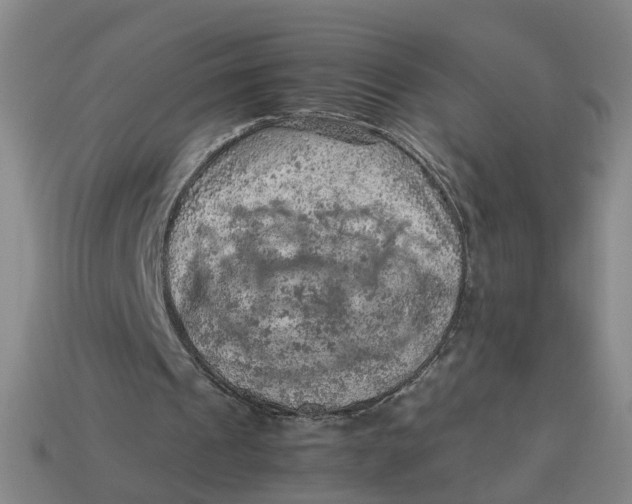 X0000113310241200910051110