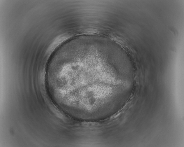 X0000113310242200910051110