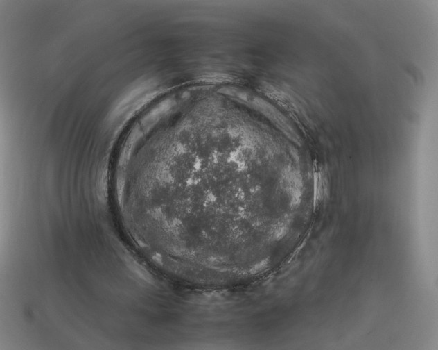 X0000113310243200910051110