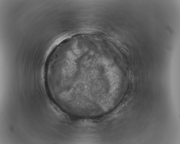 X0000113310244200910051110