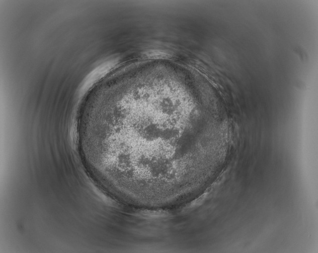 X0000113310245200910051110