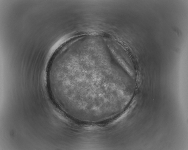 X0000113310246200910051110