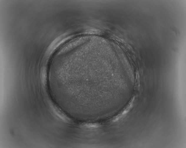 X0000113310247200910051110