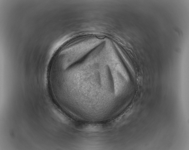 X0000113310248200910051110