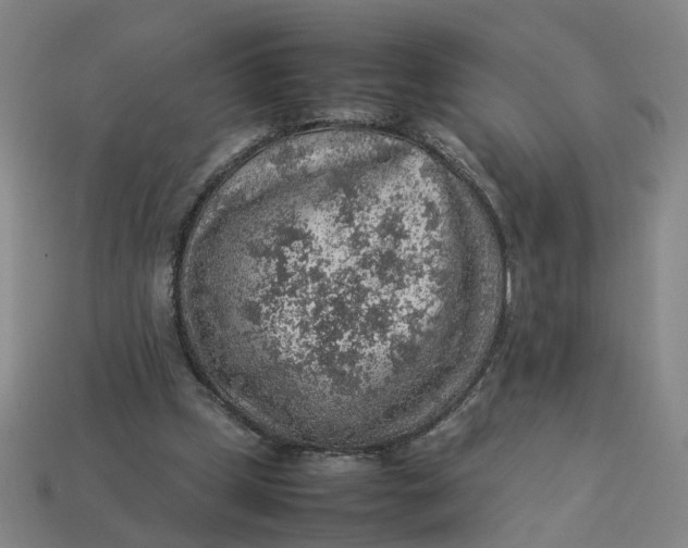 X0000113310249200910051110