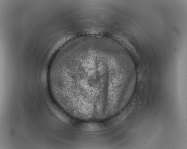 X0000113310250200910051110