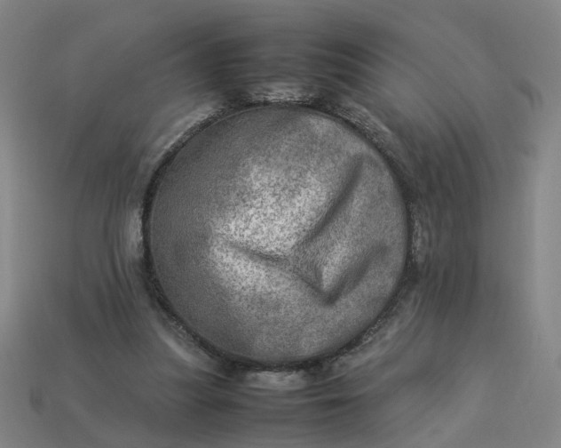 X0000113310251200910051110