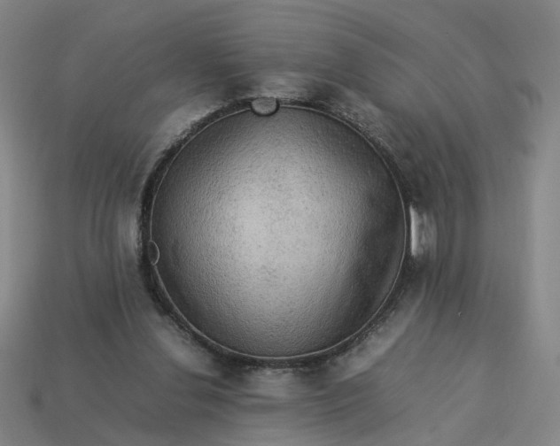 X0000113310252200910051110