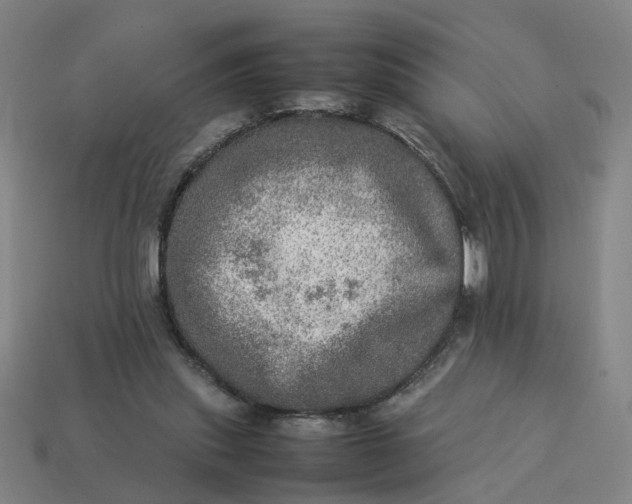 X0000113310253200910051110