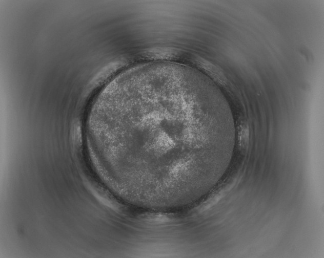 X0000113310254200910051110