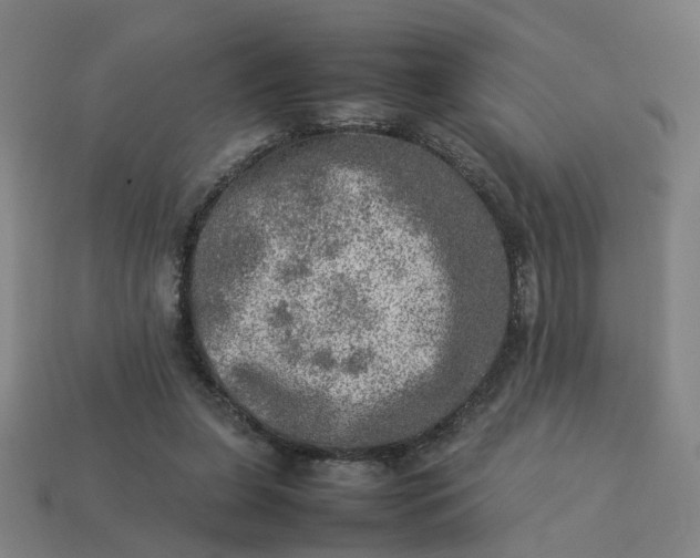 X0000113310255200910051110