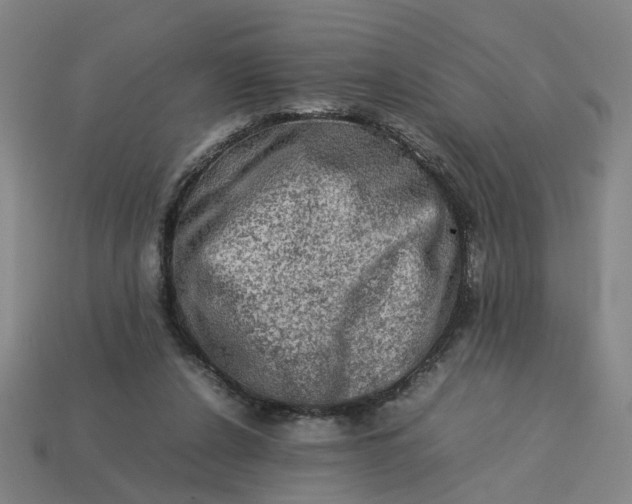 X0000113310256200910051110