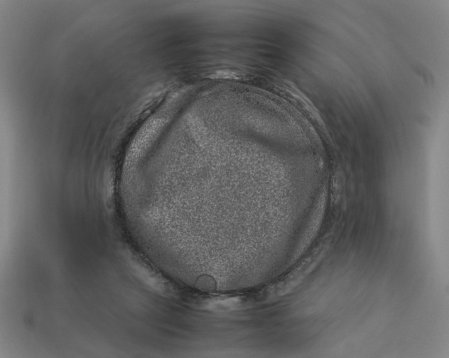 X0000113310257200910051110