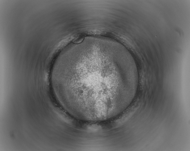 X0000113310258200910051110