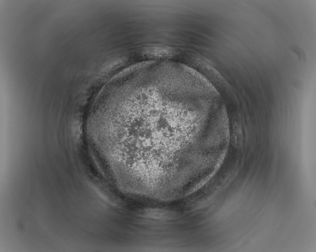 X0000113310259200910051110