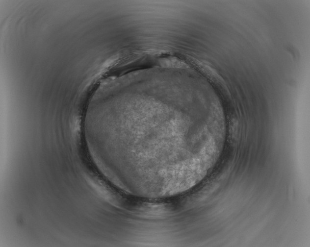 X0000113310260200910051110