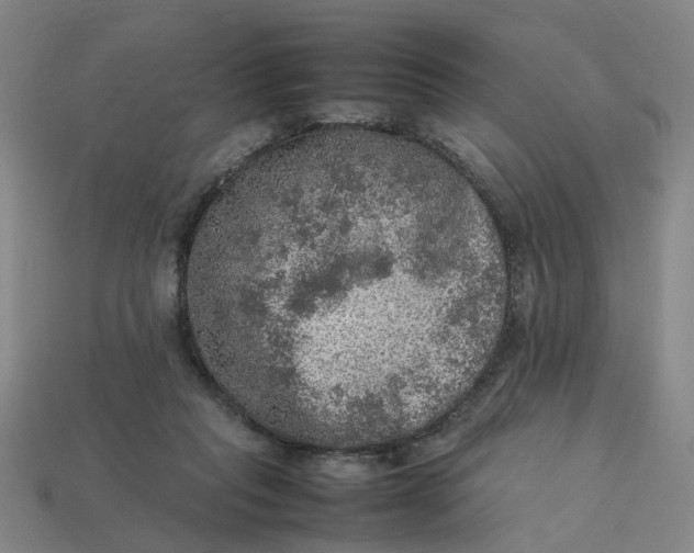 X0000113310261200910051110