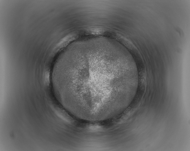 X0000113310262200910051110