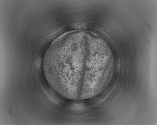 X0000113310263200910051110