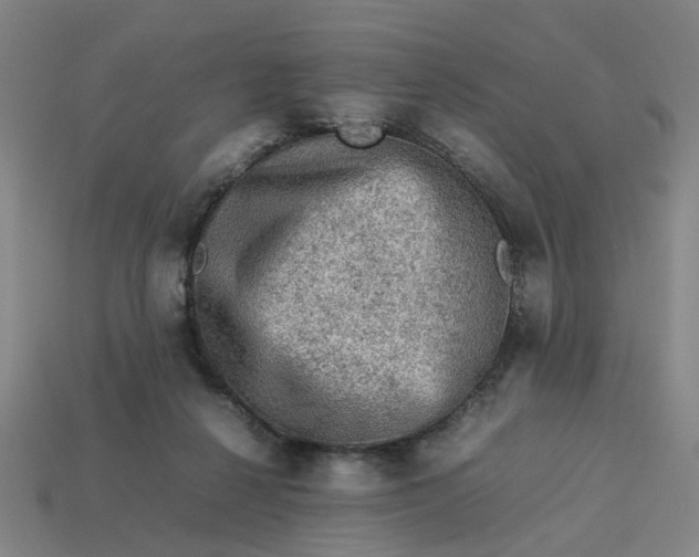 X0000113310264200910051110