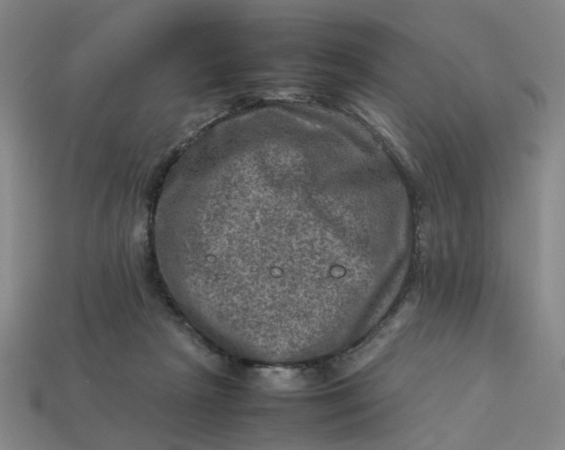 X0000113310265200910051110