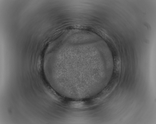 X0000113310266200910051111