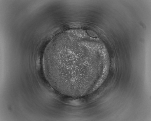 X0000113310267200910051111