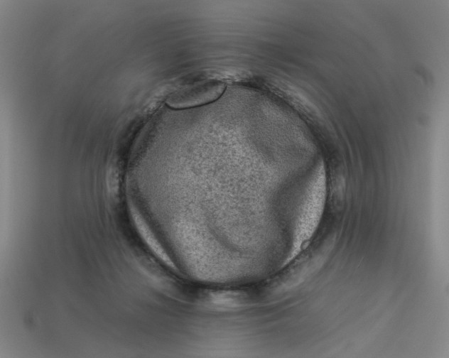 X0000113310268200910051111