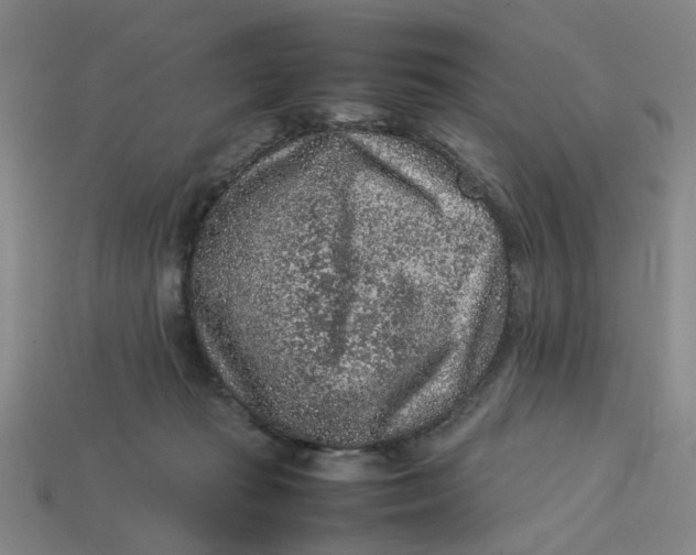 X0000113310269200910051111