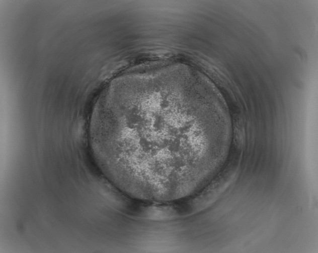 X0000113310270200910051111