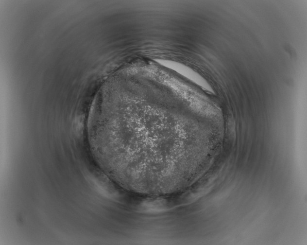 X0000113310271200910051111