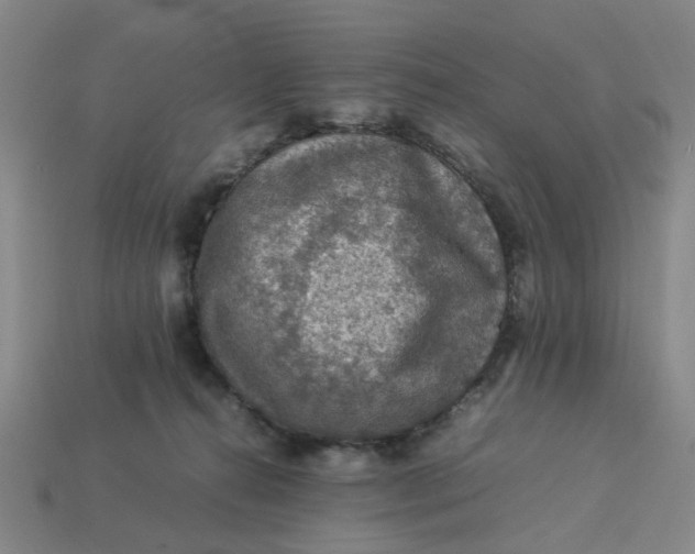 X0000113310272200910051111