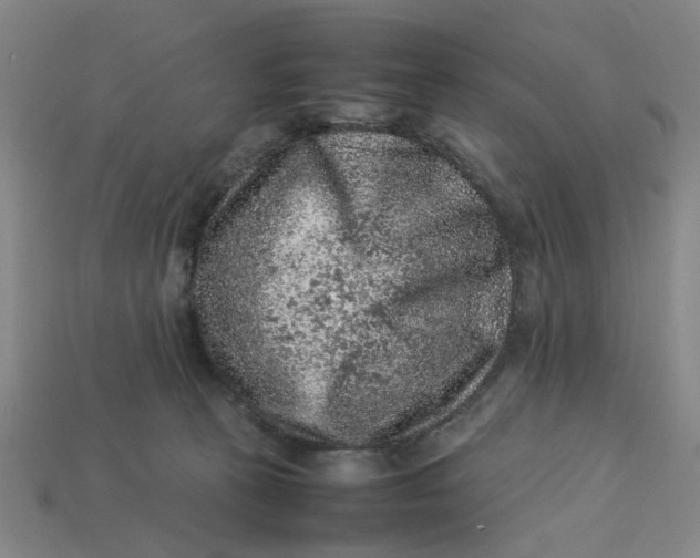 X0000113310273200910051111