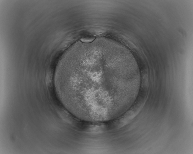 X0000113310274200910051111