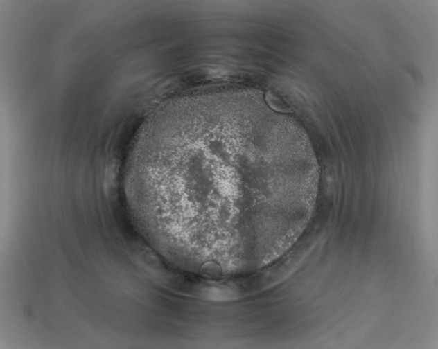 X0000113310275200910051111