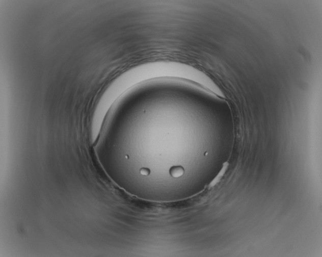 X0000113310276200910051111