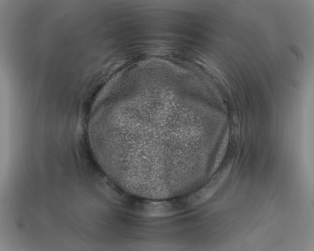 X0000113310277200910051111