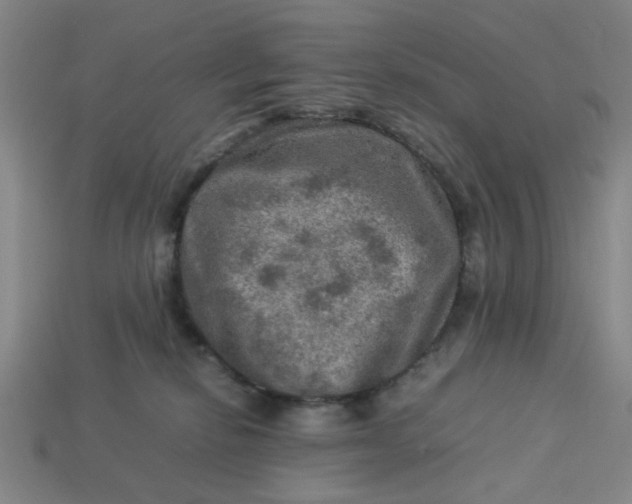 X0000113310278200910051111