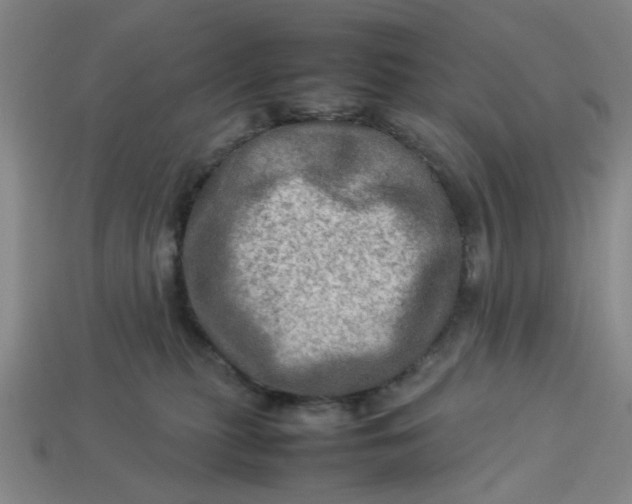 X0000113310279200910051111