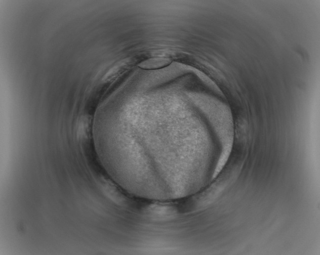 X0000113310280200910051111