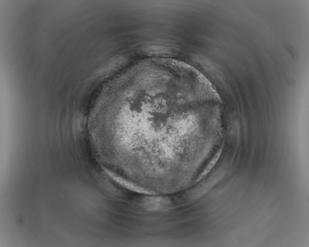 X0000113310281200910051111