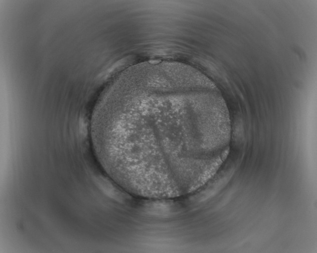 X0000113310282200910051111