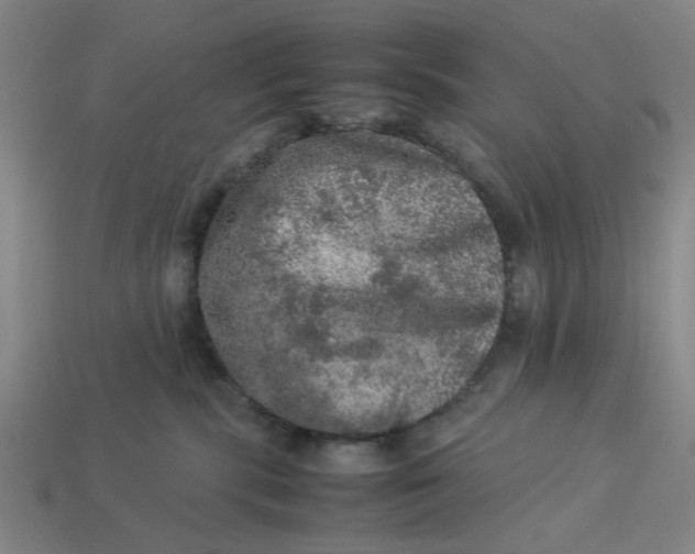 X0000113310283200910051111