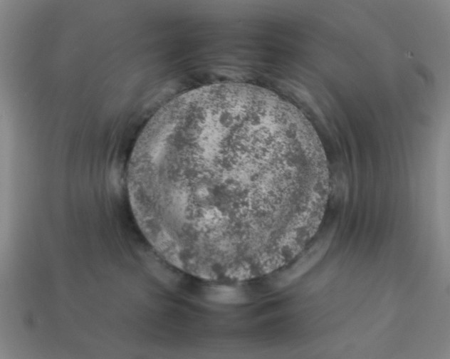 X0000113310285200910051111