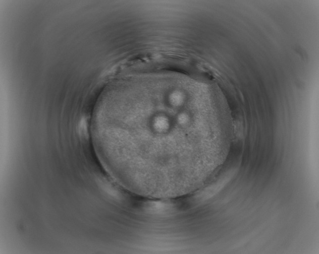 X0000113310286200910051111