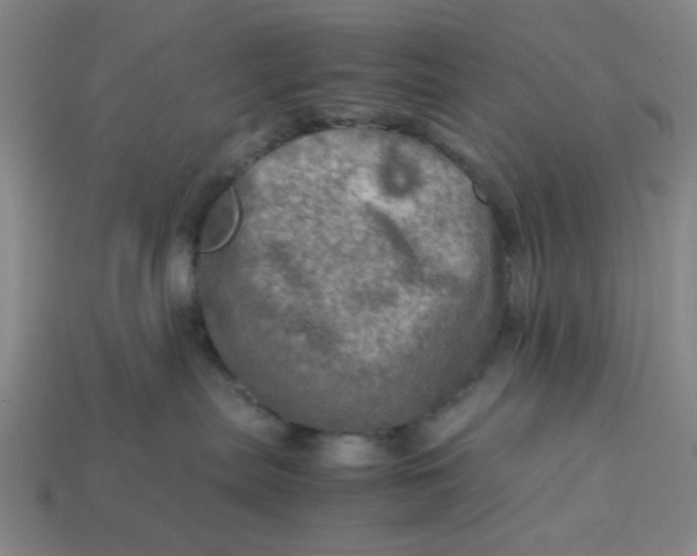 X0000113310287200910051111