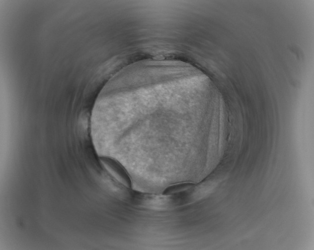 X0000113310288200910051111