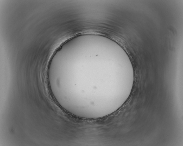 X0000113310289200910051110