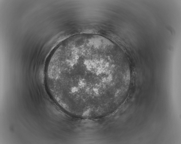 X0000113310290200910051110