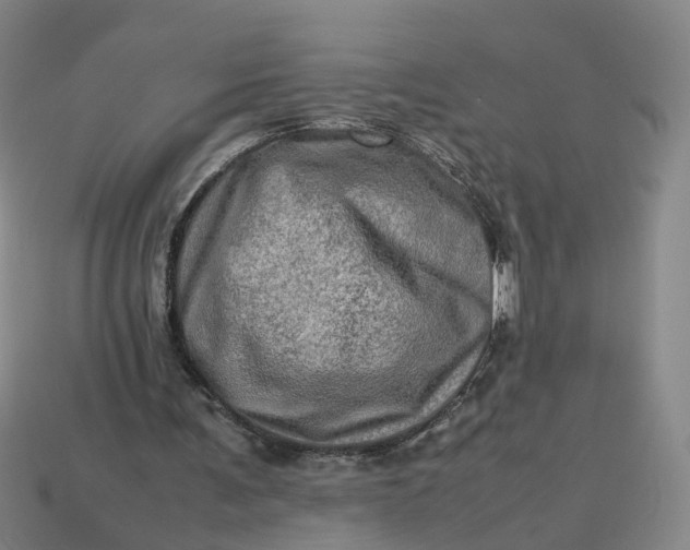 X0000113310291200910051110